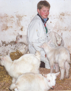 Bengal Kittens for sale near me