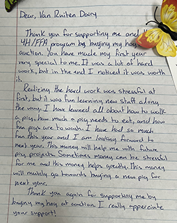 Bengal cat breeder near me