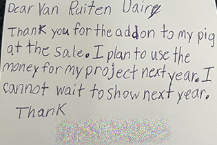 Bengal cat breeder near me