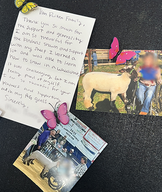 Bengal cat breeder near me