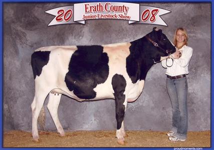 Bengal Kittens for sale near me