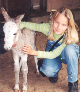 Bengal Kittens for sale near me