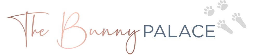 family rabbit and bunny as pets for sale giant bunny for sale