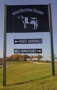 Bengal Kittens for sale near me