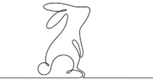 Bengal Kittens for sale